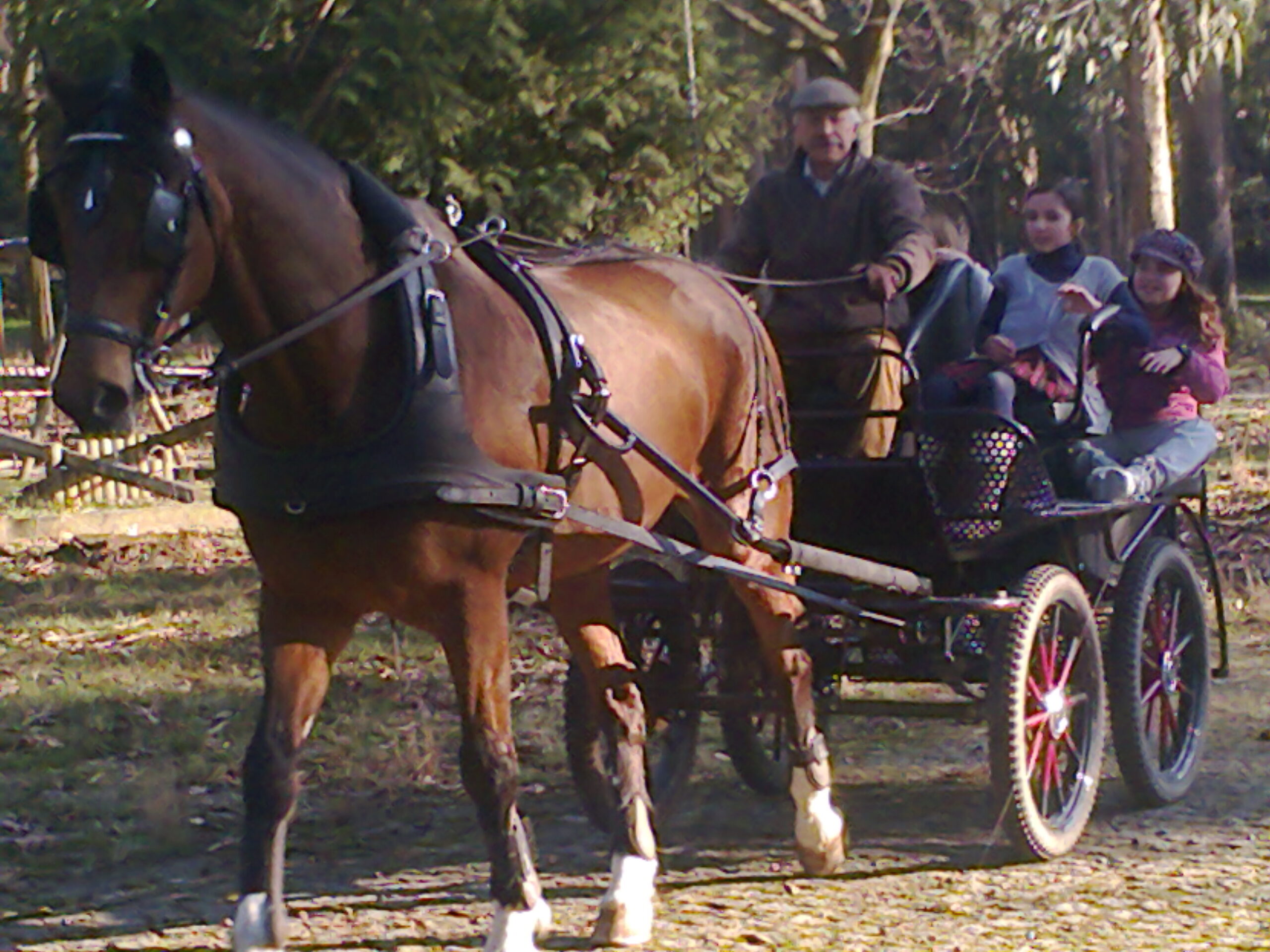 Fotografia0268