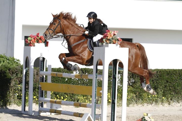 HIPISMO – Sport acolhe estágio Obstáculos com Seleccionador Nacional da Juventude