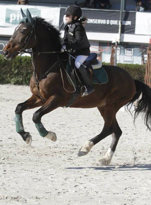 HIPISMO – Sport e Francisca Silva no pódio do Troféu Interescolas 2014